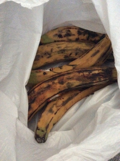 AA36B6F6-68E4-4517-9837-8F72E7021ECD