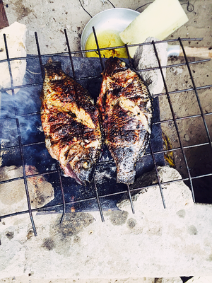 写真 2016-11-03 8 54 56