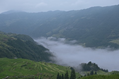 S__22265867_0