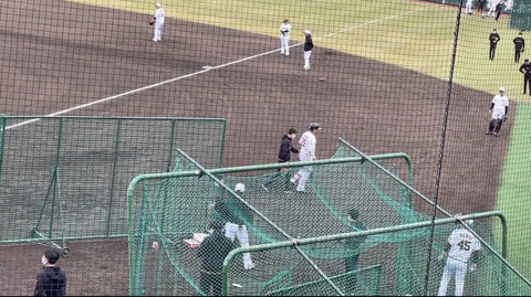 【悲報】巨人・岡本、戸郷から死球を受け足を引きずって退場