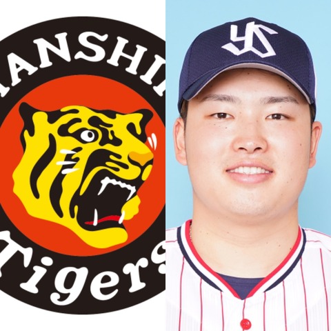 悲報 阪神広報 ヤクルト村上を 無視 してしまうwewewewywywy Giants Pride 巨人なんjまとめ 悲報 阪神広報 ヤクルト村上を 無視 してしまうwewewewywywy Giants Pride 巨人なんjまとめ