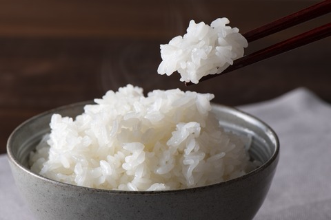 巨人・秋広、米を「1日12合」食べていた