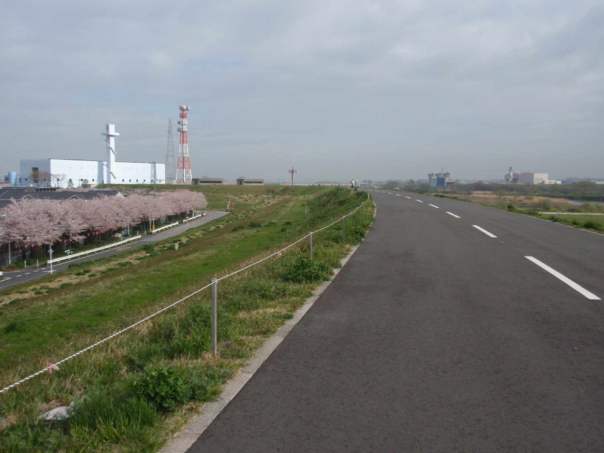 吉高の大桜自転車経路