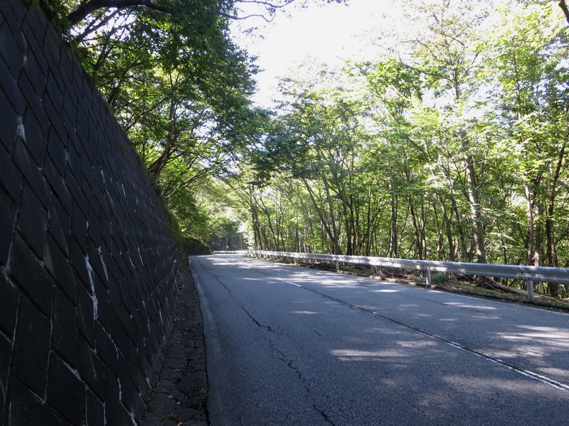 日光のいろは坂を自転車で登る人入の