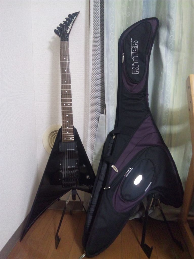 ランディーV : ムーたんのエレキギターブログ