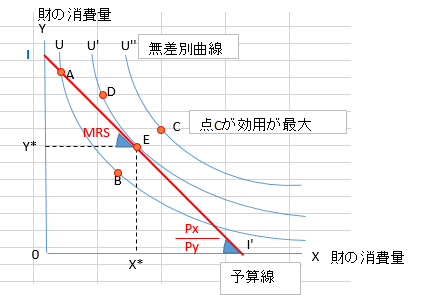 Small Business Diagnostician 経済学 経済政策 第1章 消費者行動