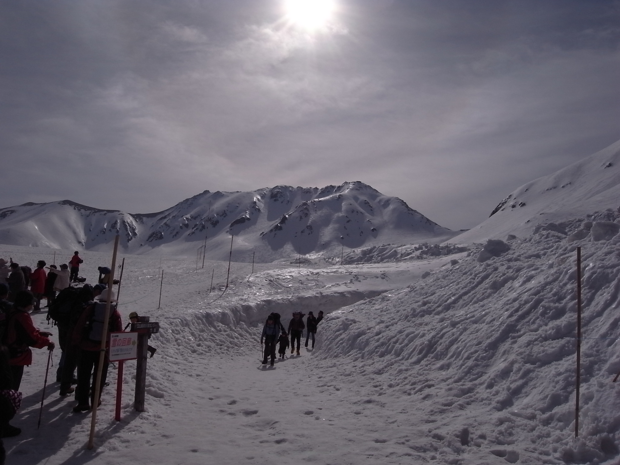 Ω������