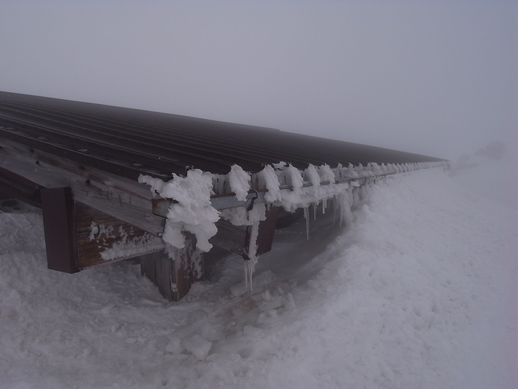 Ω������