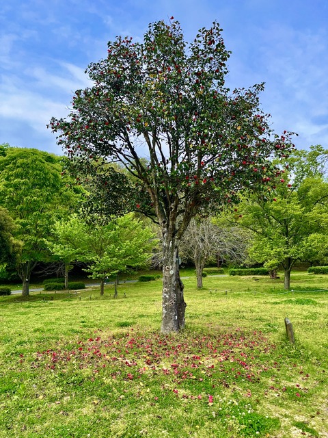 ちょっとGW気分