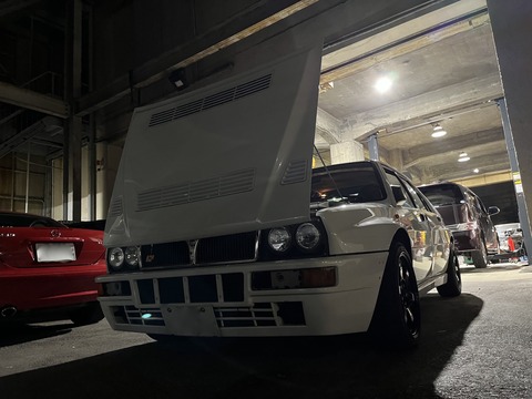 ルディーの散歩を3h