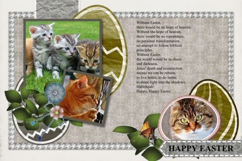 Picture Collage Maker2