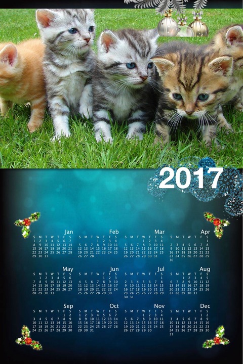 Picture Collage Maker3