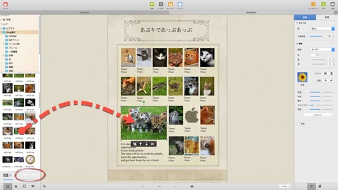 Picture Collage Maker4