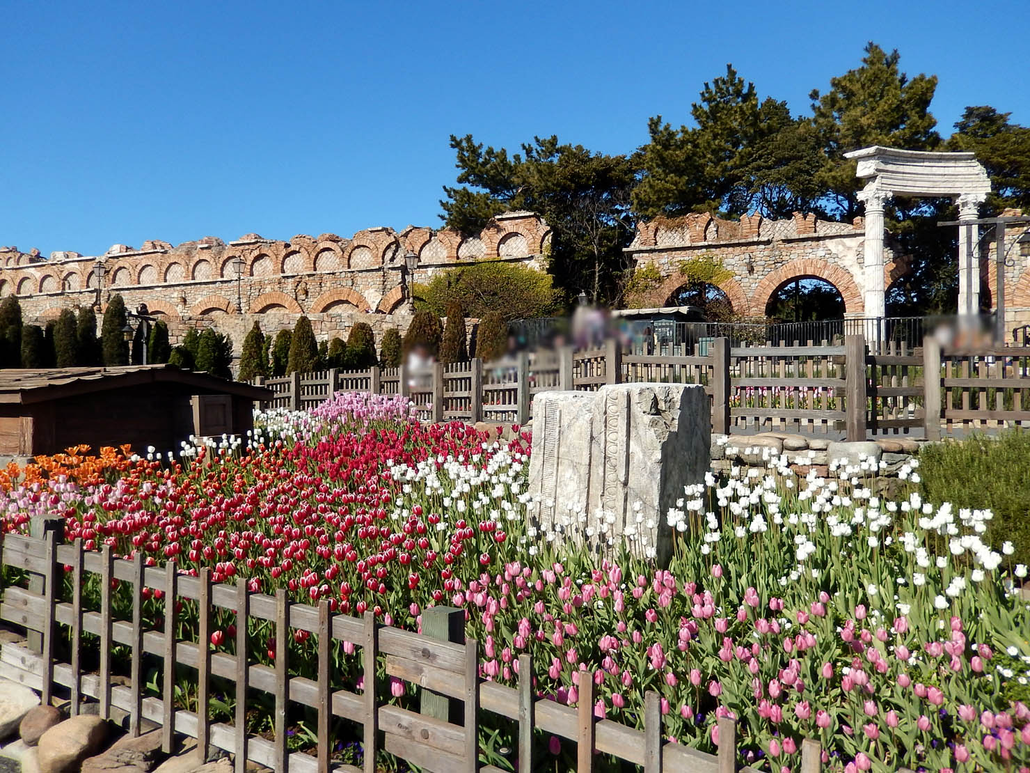東京ディズニーシーの 植物たち 10日第1 4報 怒鳴るド伍長のクワックパーク 東京ディズニーシーの 植物たち 10日第1 4報 怒鳴るド伍長のクワックパーク