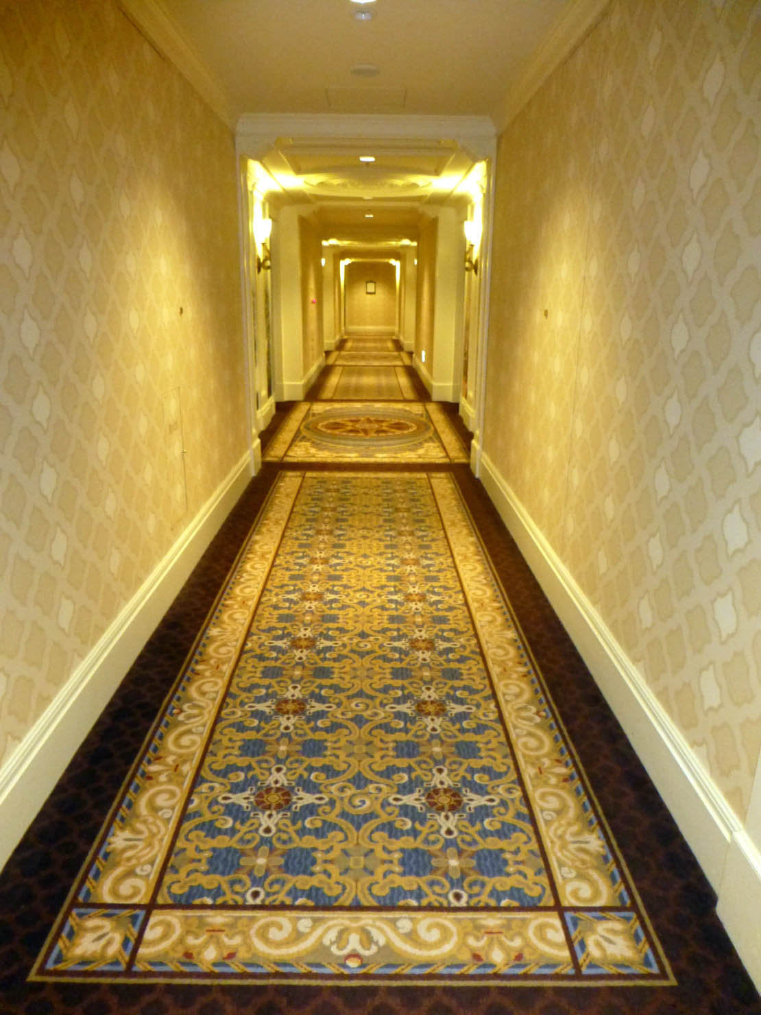 ホテルミラコスタの 廊下 １２日第２ ４報 怒鳴るド伍長のクワックパーク