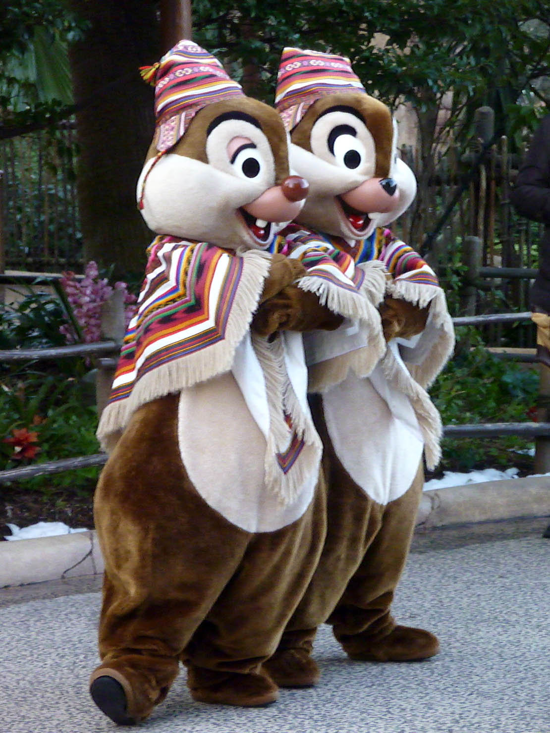 チップとデールの 整列グリーティング ２８日第１報 怒鳴るド伍長のクワックパーク