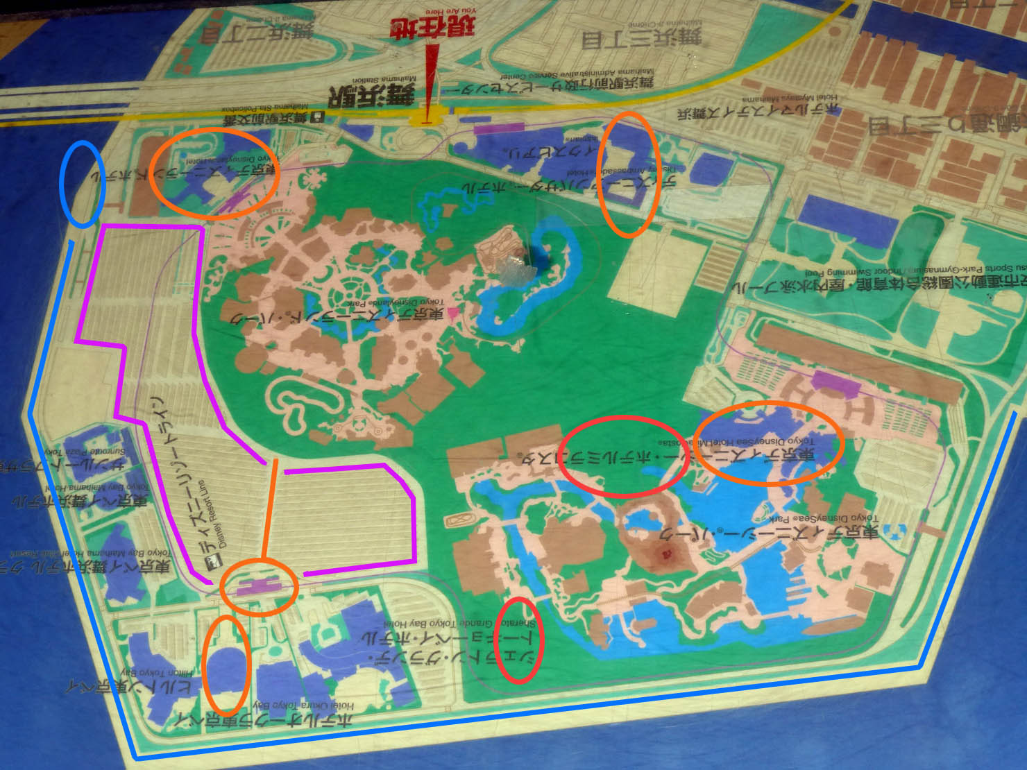 東京ディズニーリゾートの 地図 ９日第２ ６報 怒鳴るド伍長のクワックパーク