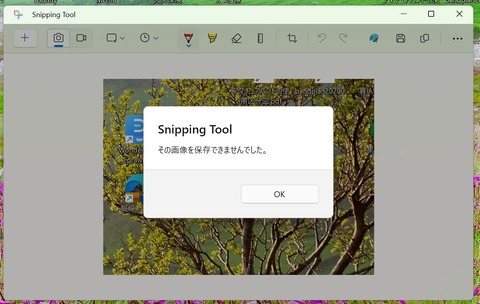 snippingtool_NG