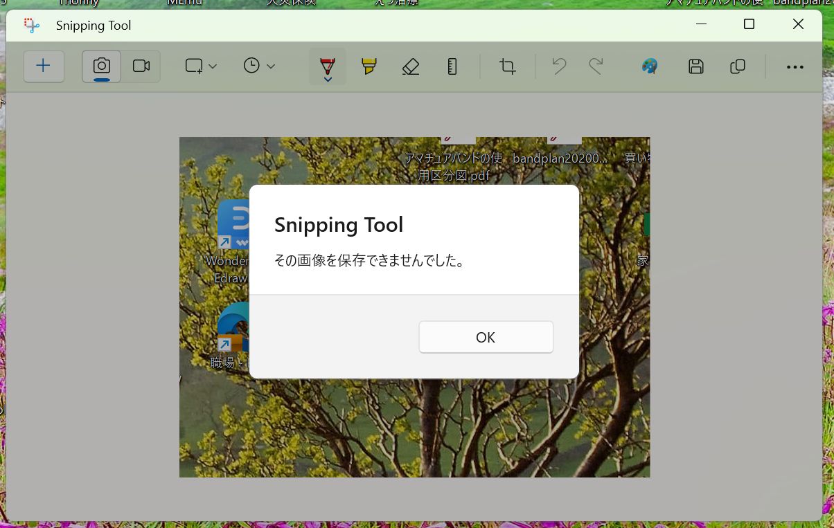 SnippingTool」での「JPEG」保存の不具合について : Skyzoo ヨッシーの