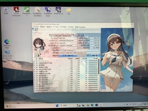 LIVAZ-N4200-diskinfo-fan