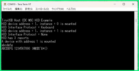 TinyUSB_Host_HID_Example