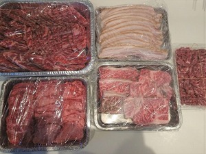 �뵤ʧ��BBQ (8)