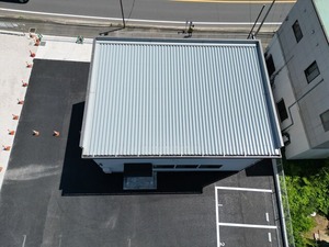 ������� (6)