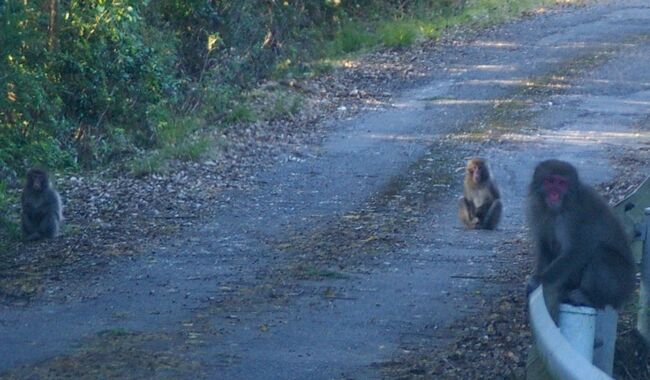 ����2010.11.10 316