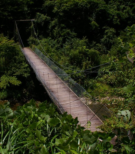 山の吊り橋2