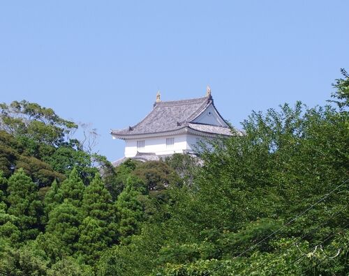 IMGP8175