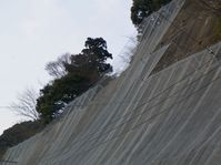 防護ネット7