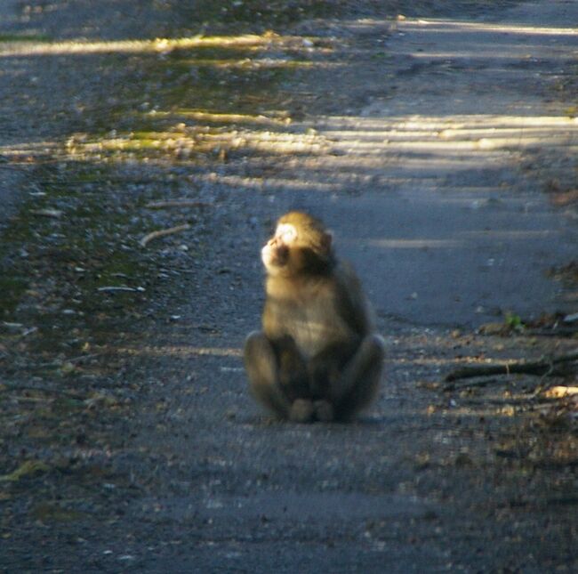 ����2010.11.10 321