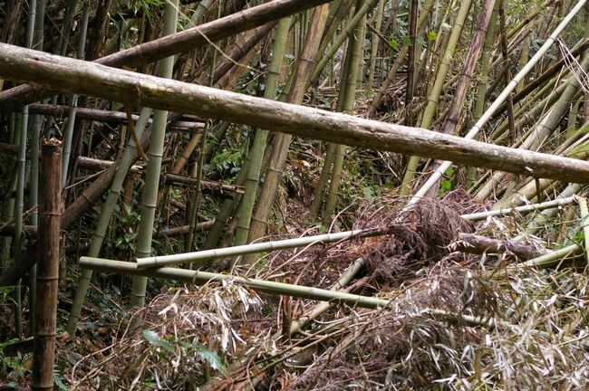 ����12.22 143