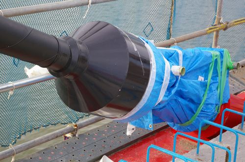 �����֥������ѹ⸺�ꥴ�����ѡ�