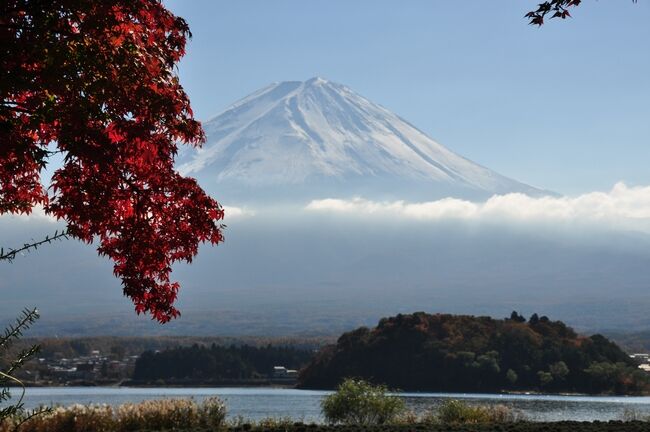 �߳ڤ���̿�1121035