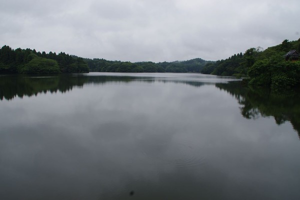 IMGP2499