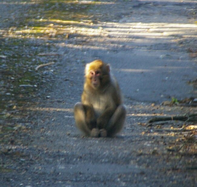 ����2010.11.10 320