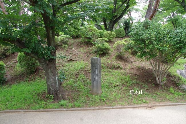 IMGP8072