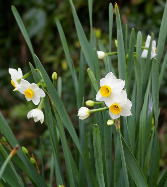 ����12.22 014