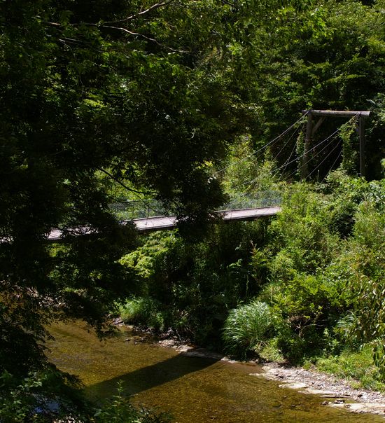 山の吊り橋