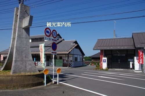 IMGP8183