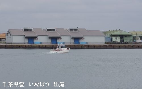 IMGP8209