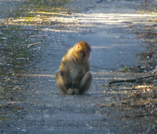 ����2010.11.10 319