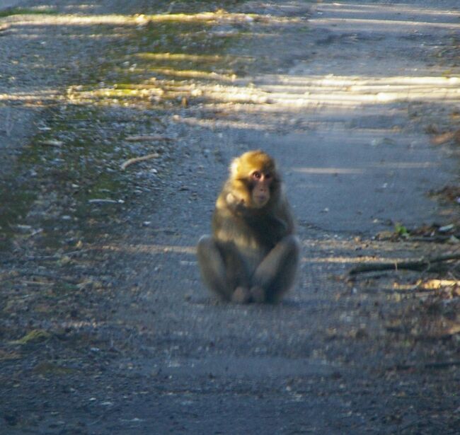 ����2010.11.10 322