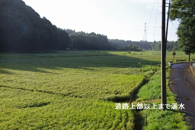 IMGP8291