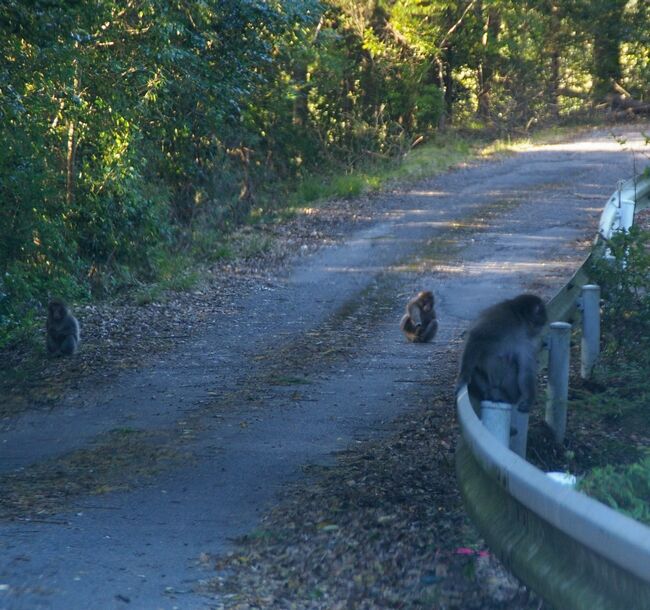 ����2010.11.10 317