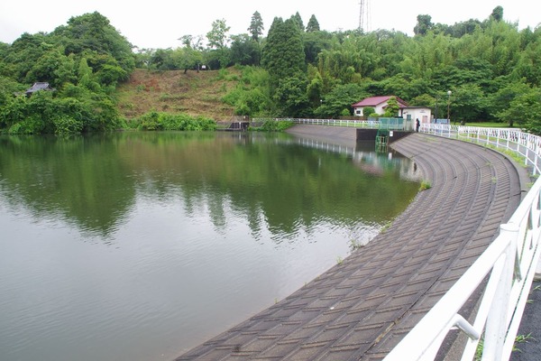 IMGP2472