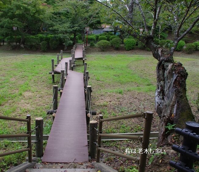 IMGP8349