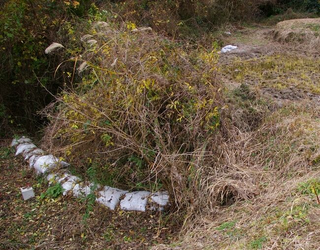 ����12.22 028