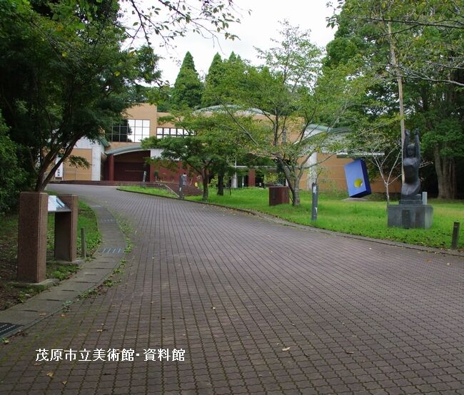 IMGP8344